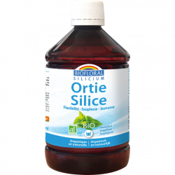 Ortie silice