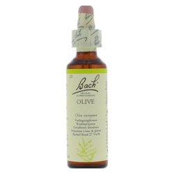 Olivier - olive (23) 20 ml