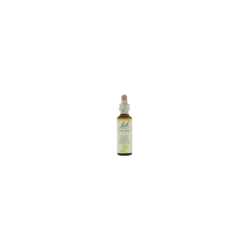 Eglatine - wild rose (37) 20 ml