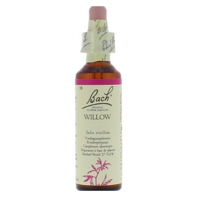 Saule - willow (38) 20 ml