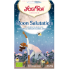 Moon salutation, 17 infusettes bio*