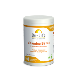 Vitamine B9 500 90 gélules